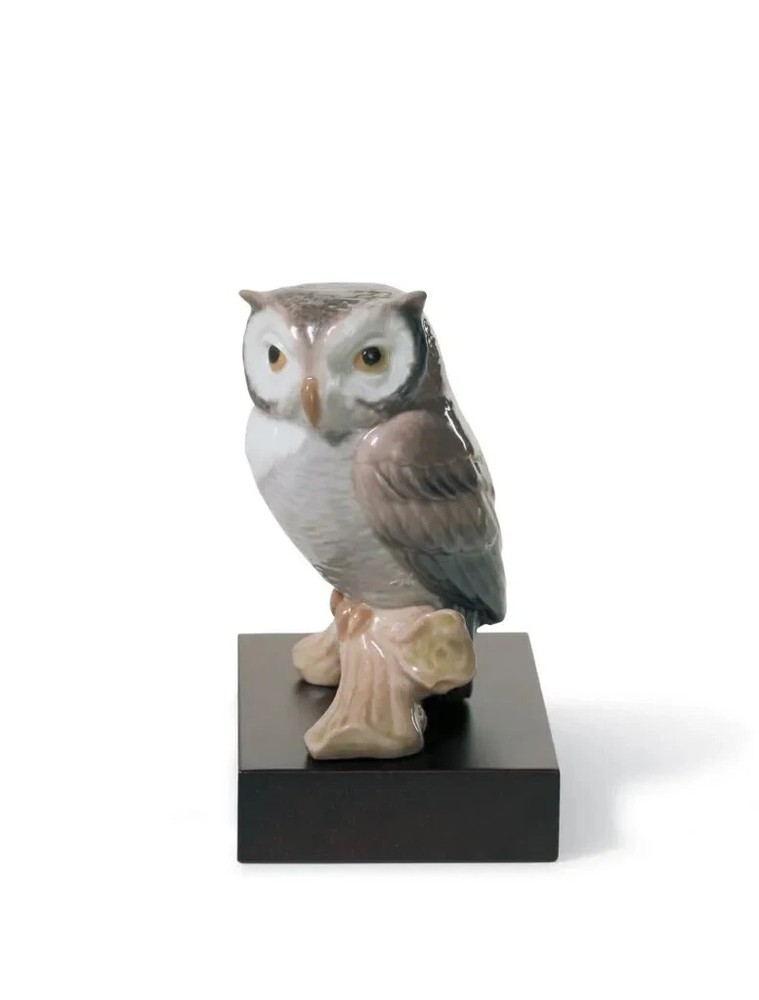 Lladro 01008035 Lucky Owl Figurine New Collectible