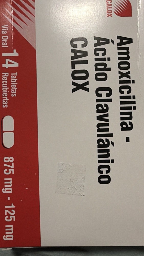 Guida Amoxicillin  by Andrian DeLeon (Italian) Paperback Book