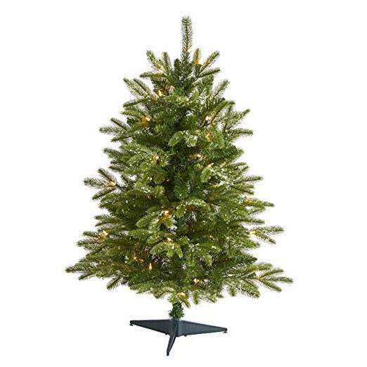 3ft. Snowed Grand Teton Fir Artificial Christmas Tree with 50 Clear Lights