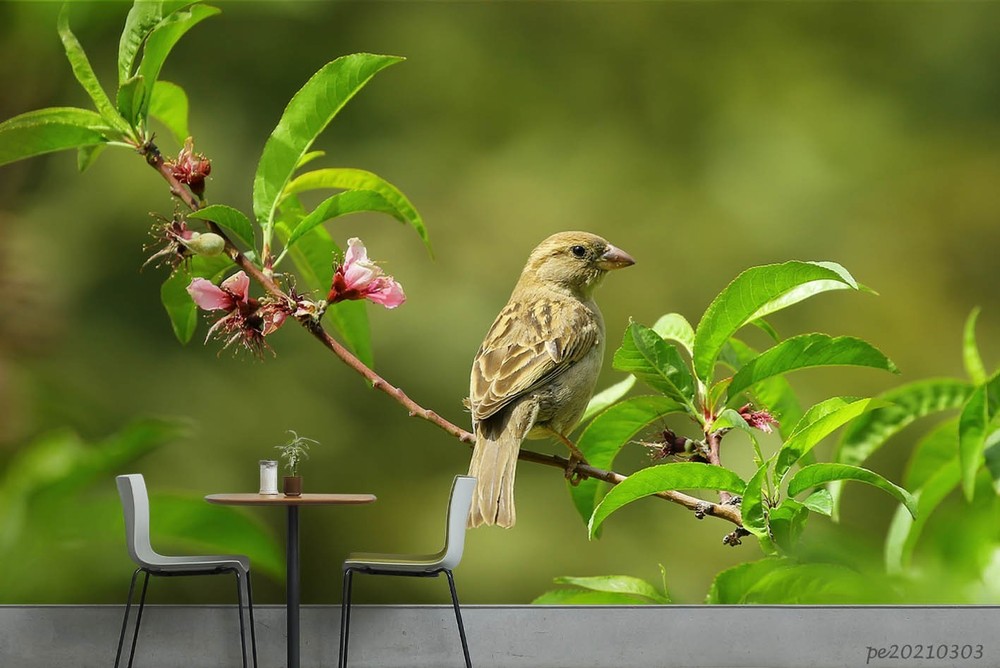 3D Bird Flower Leaves Close-up Wall Murals Wallpaper Murals Wall Sticker