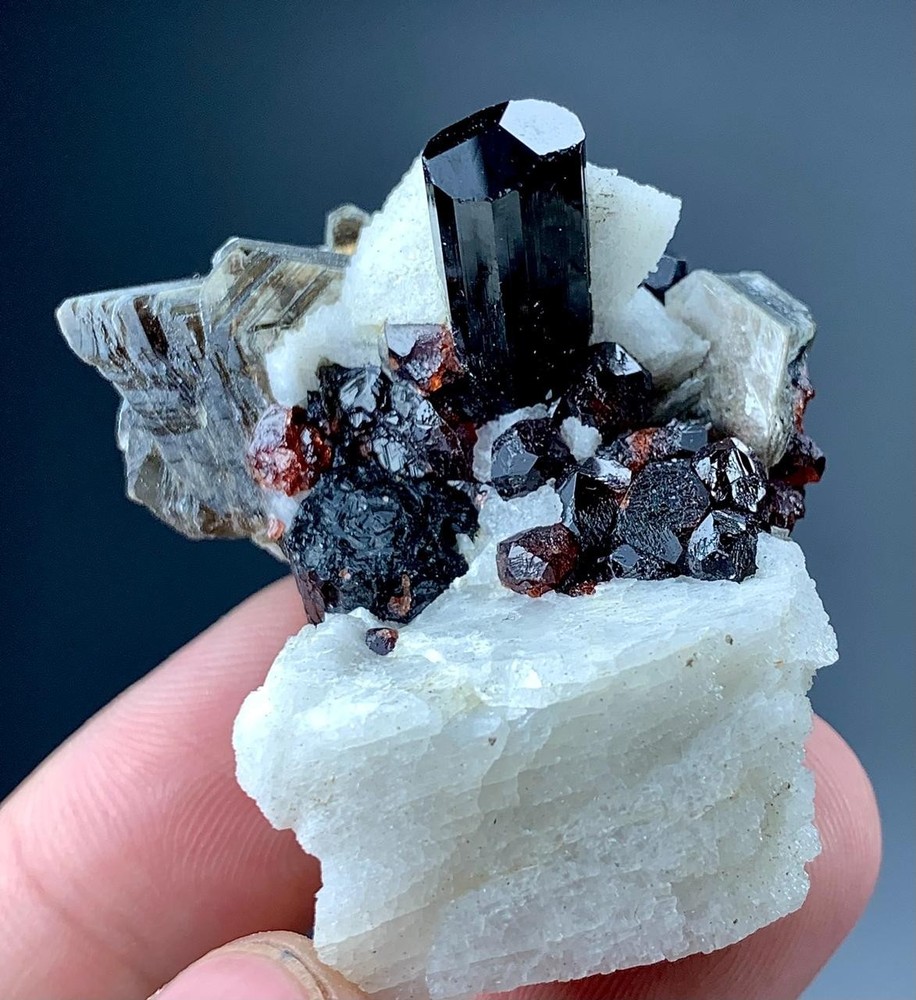 206 Carat Black Tourmaline Crystal With Garnet Specimen From Pakistan