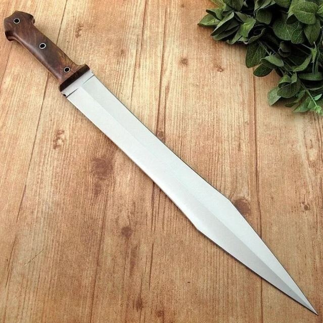 Roman Gladius Custom Battle Ready High Carbon Steel Gladiator Sword With Sheath