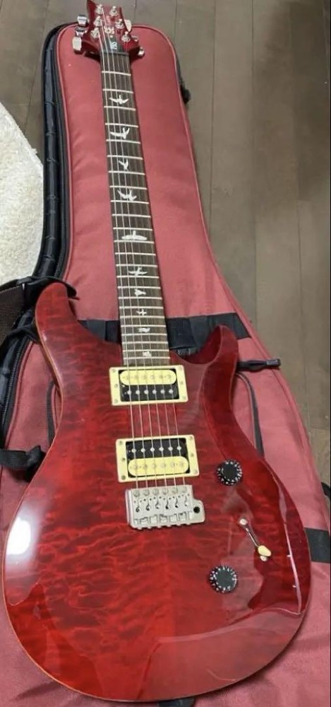 PRS SE custom 24 soft case Safe Packing!