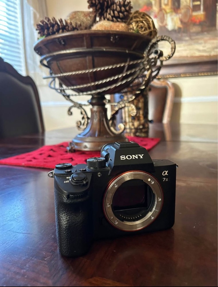 Sony a7 III 24.2 MP Mirrorless Digital Camera - Black (Body Only)