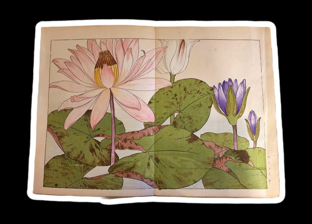 Tanigami Kônan Woodblock Print c. 1917Series: A Pictorial Book of Western Flowers