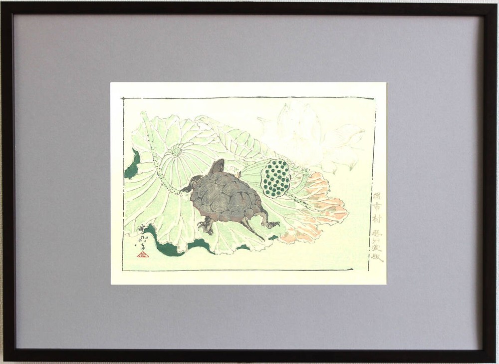 Y0329 Guaranteed Authenticity Framed by Kyosai Kawanabe Woodblock Print Turtle 1