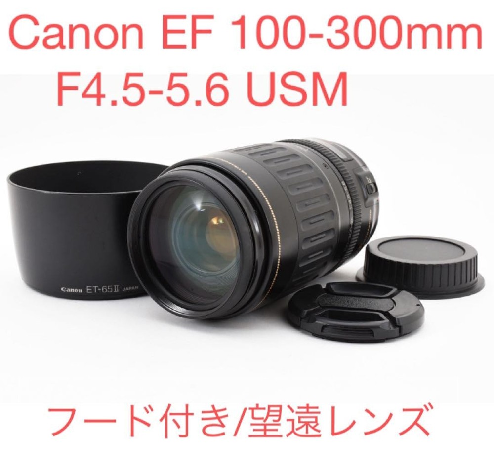 Canon EF 100-300mm F4.5-5.6 USM Telephoto Zoom Lens for Sports Events Wildlife Photography