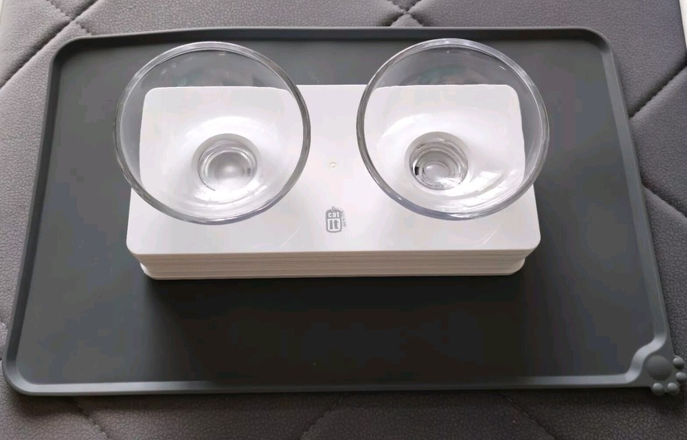 2-Bowl Glass Pet Diner Set with Non-Slip Silicone Mat  