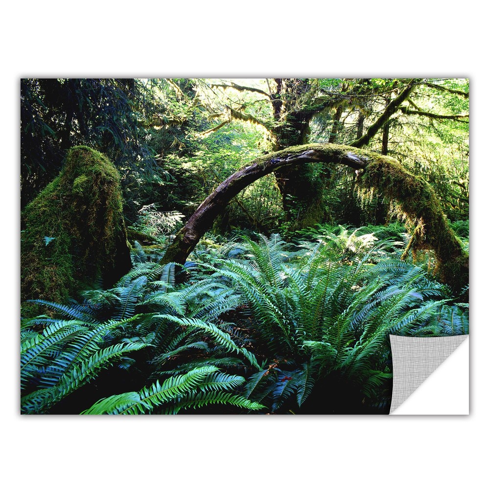 Dean Uhlinger 'Rain Forest Afternoon' Removable Wall Art  Small