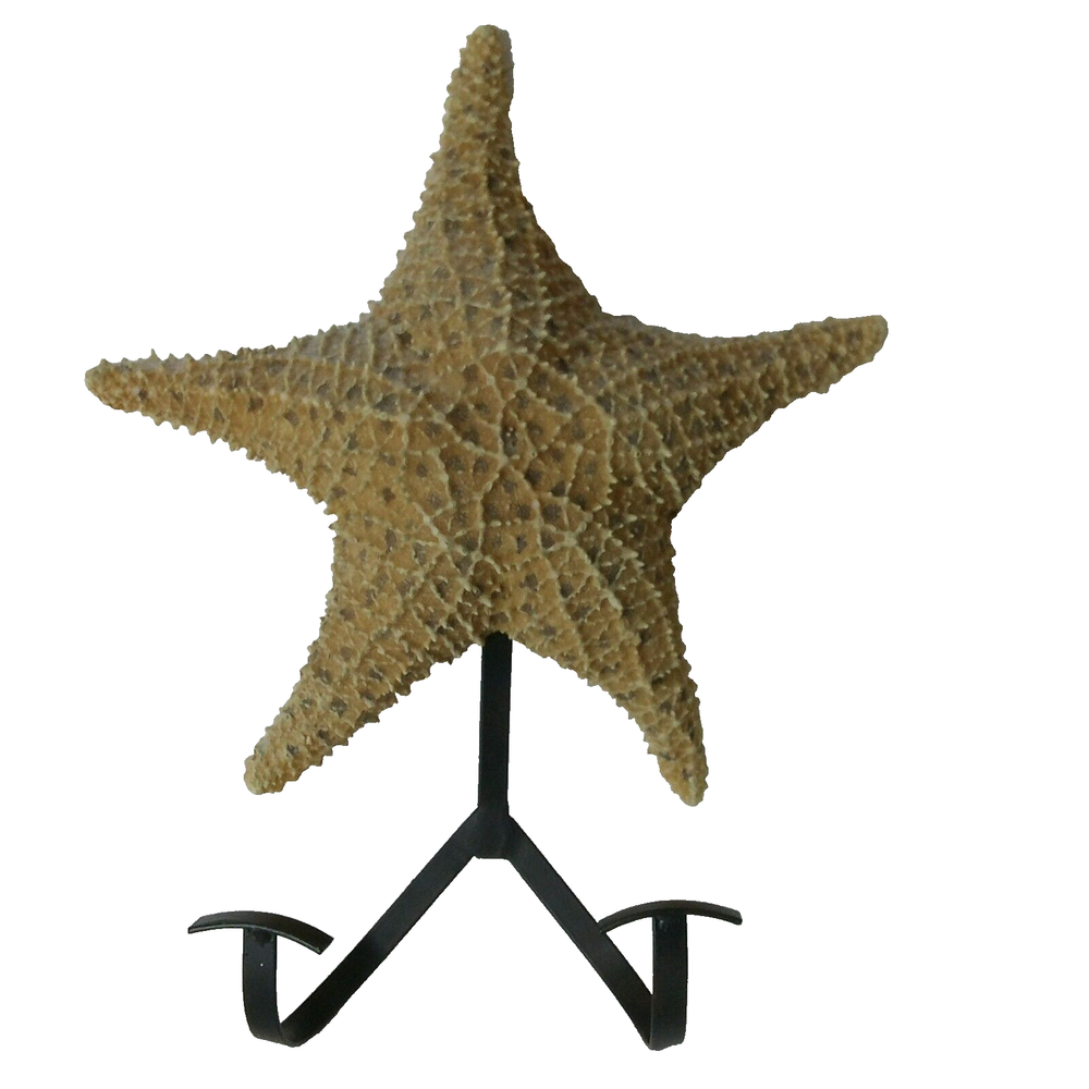 Starfish Nautical Beach Themed  Wall Hook Coat Hooks Wall Decor 12