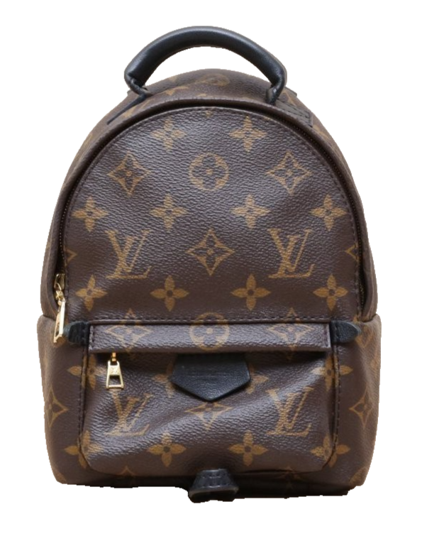 Louis Vuitton Palm Springs Backpack Monogram Mini 582842