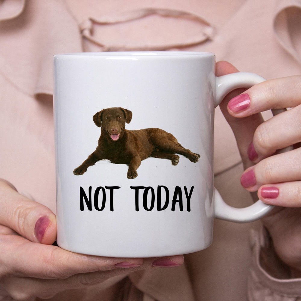 Funny Chesapeake Bay Retriever Dark Chocolate Not Today Dog Mug Lazy Gift