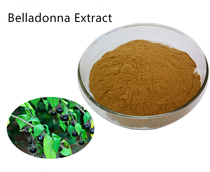 200g Potent Belladonna 10:1 Extract Powder for Natural Remedies