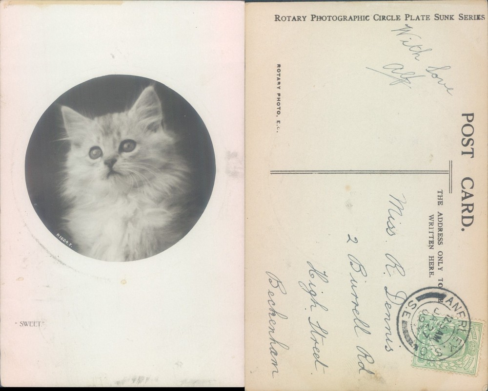Cat Rotary Photographic Circle 1904 postmark Animal