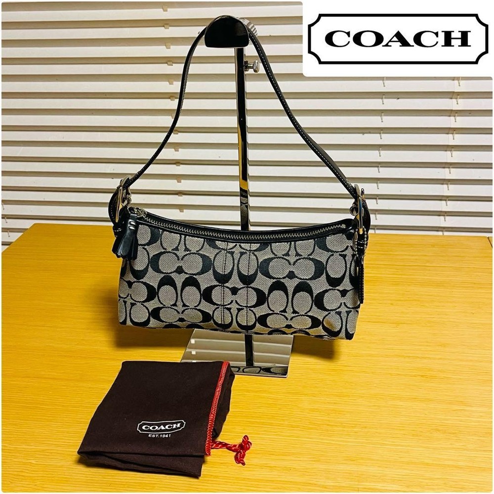 condition COACH Accessory Pouch Signature Fringe Handbag