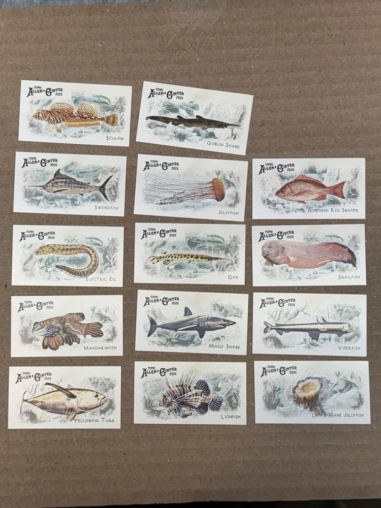 2025 Topps Allen & Ginter Mini 50 Fish from Global Waters Lot 14 diff 🔥🔥🔥