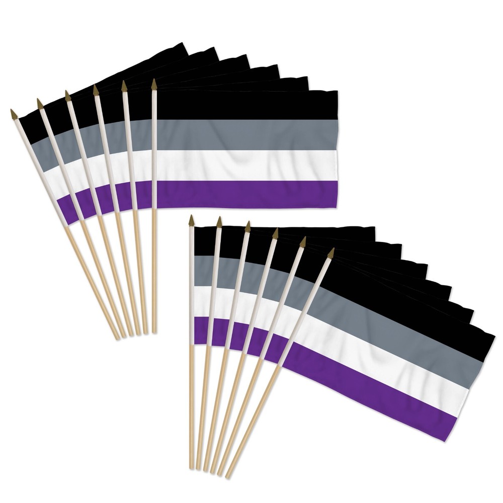 1 Dozen Asexual 12x18in Stick Flags LGBTQ Rainbow Pride Parades Handheld Flags