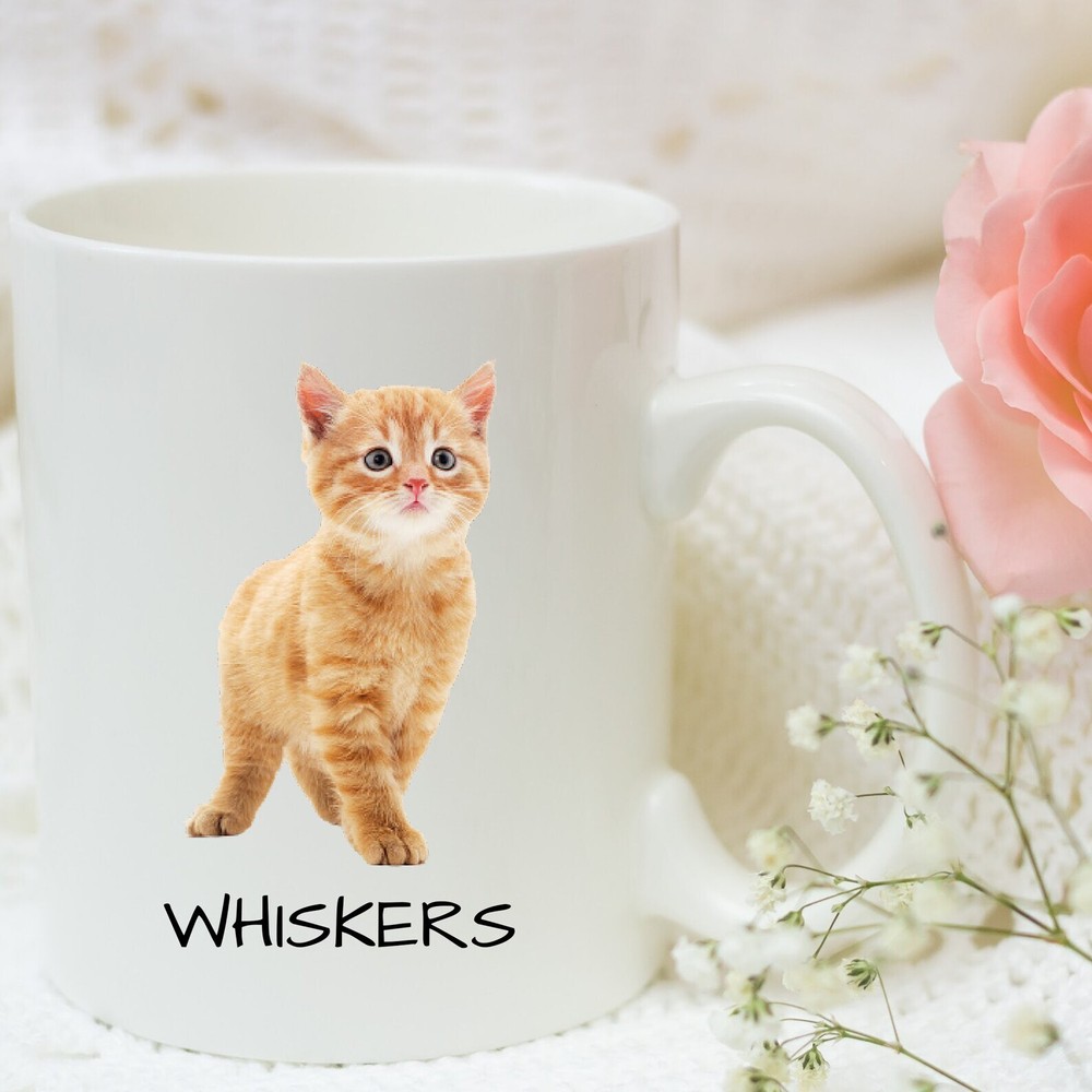 Cat Mug Personalized Adorable Ginger Cat Coffee Cup Custom Name Mug Tabby Cat Mu