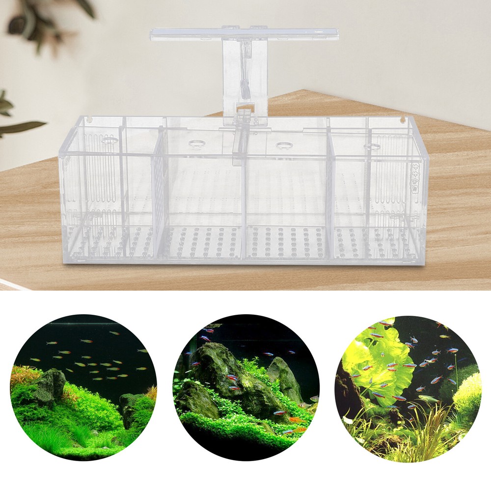 4Grid Acrylic Betta Fish Tank with Water Pump and LED Light