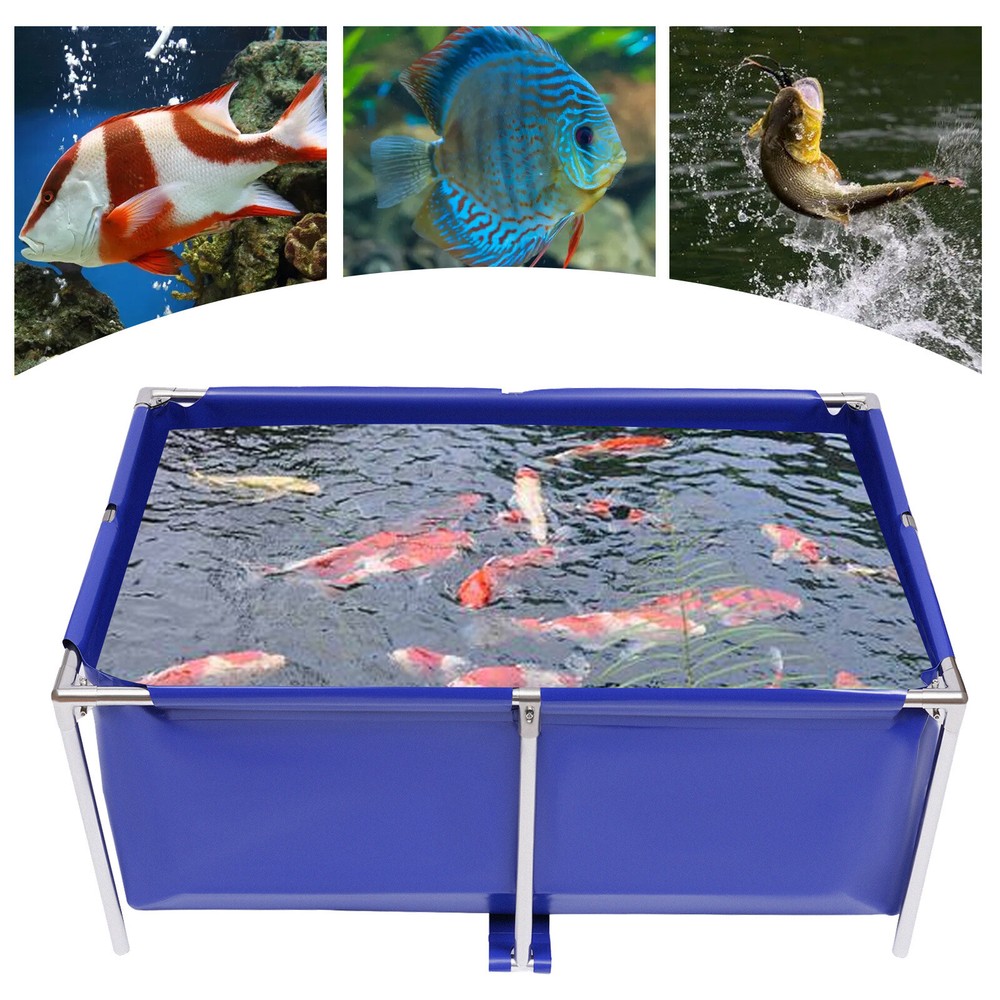 Modern Aquarium Fish Tank Ornamental Koi Pond for Home Breeding