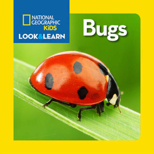 National Geographic Kids Look and Learn Bugs Board Book for Toddlers
