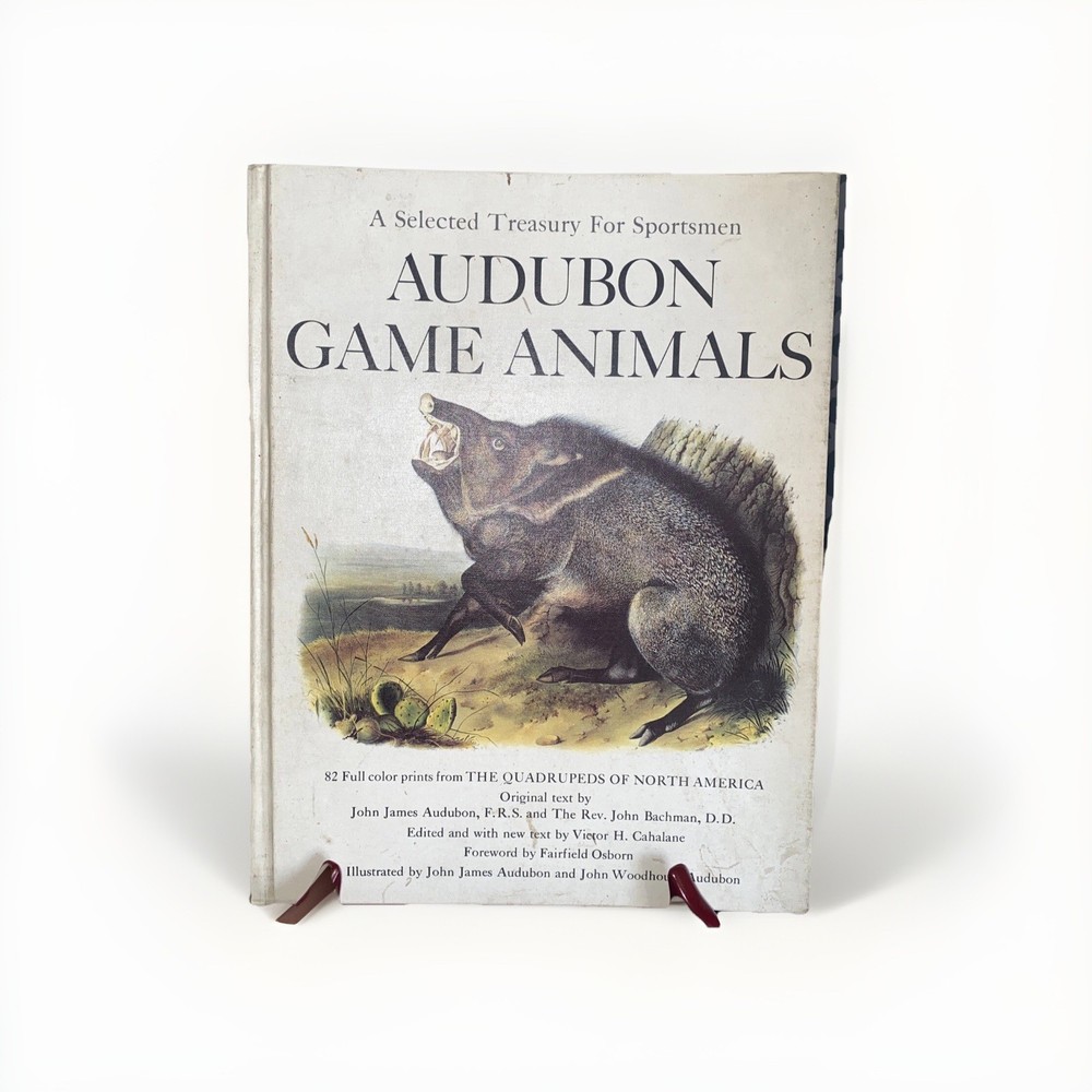 Audubon Game Animals Illustrated 82 Full Color Prints Vintage 1968