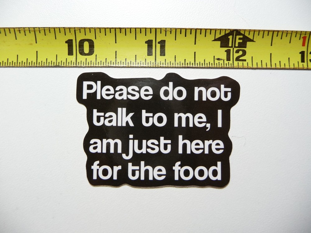 PLEASE DO NOT TALK TO ME DECAL STICKER FUNNY SARCASTIC SARCASM SAYING