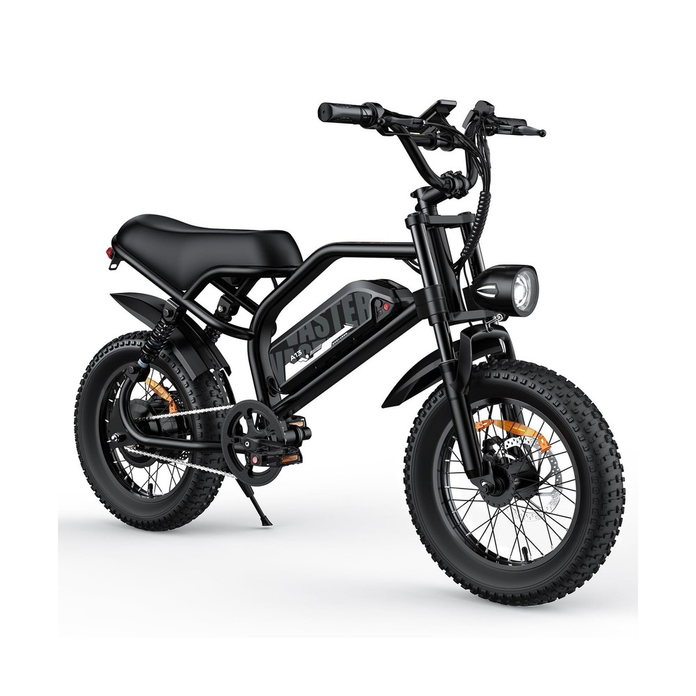 VDL Mountain Fat Tire Electric Bike for Teens 16