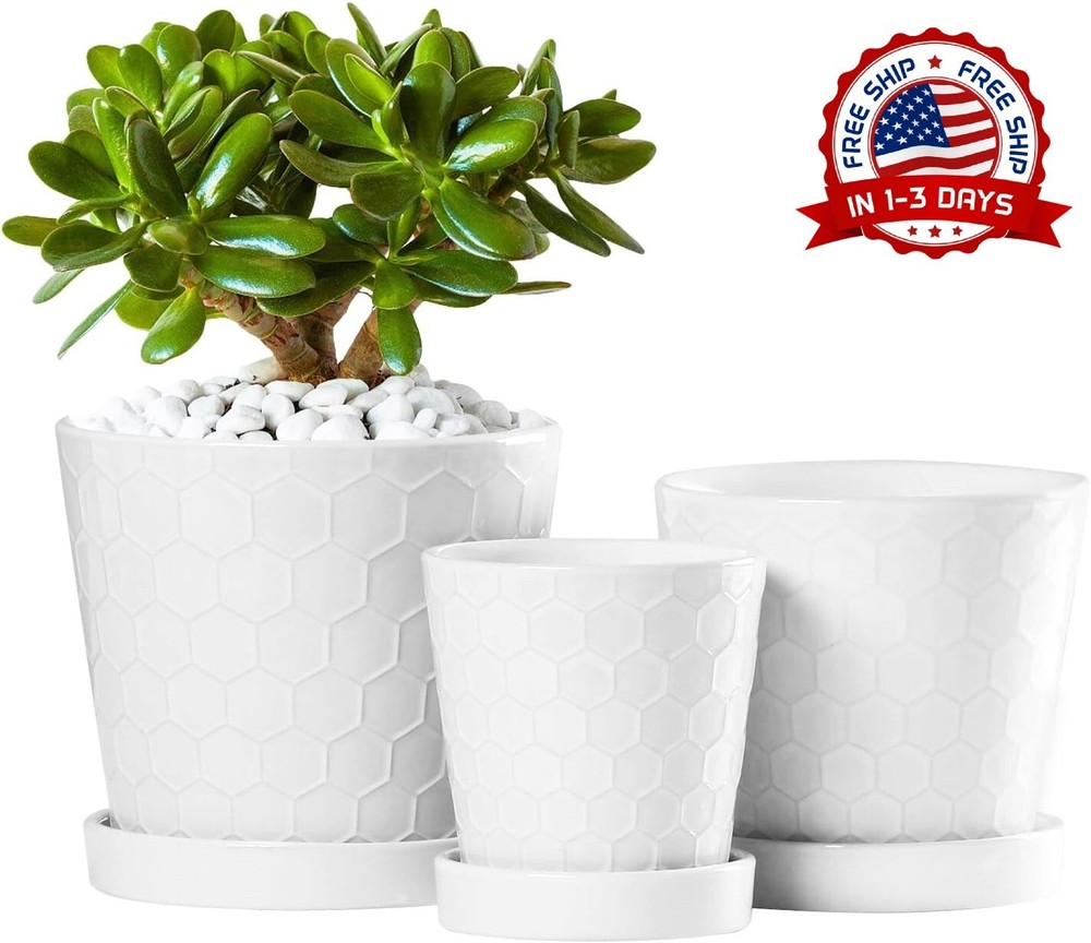 Macetas De Ceramic Para Plantas Grandes Maceteros Exterior Interior Decoracion