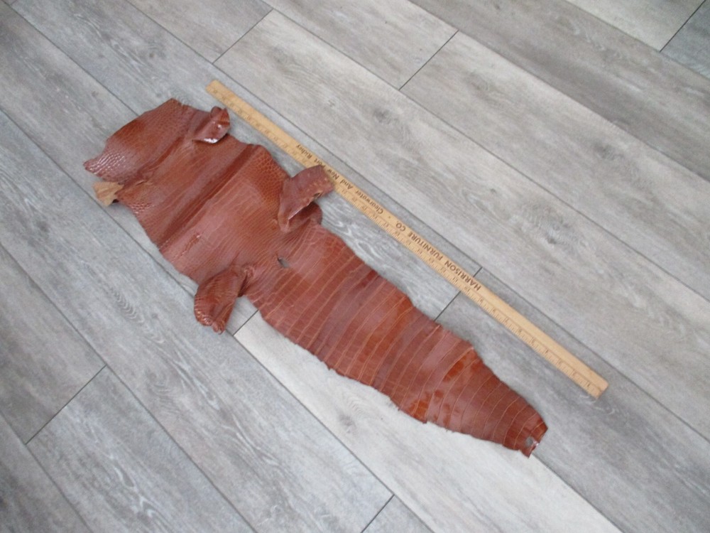 Genuine alligator  shiny cognac  Skin Leather Hide Pelt accessories craft