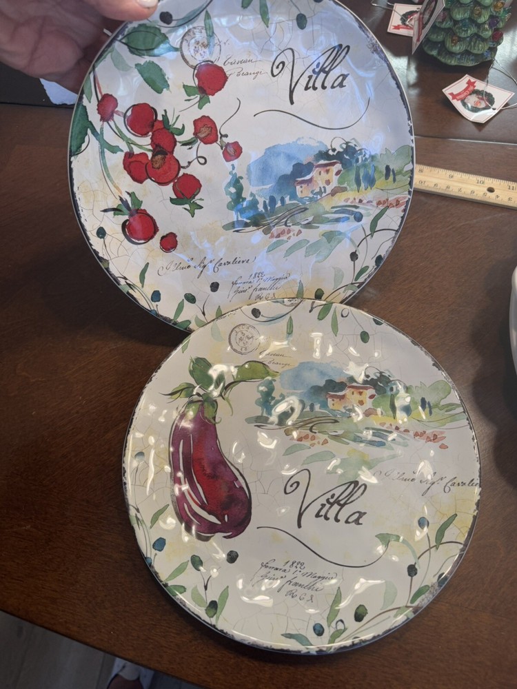 Set of 2 Villa Julie Paton Certified International 8.5