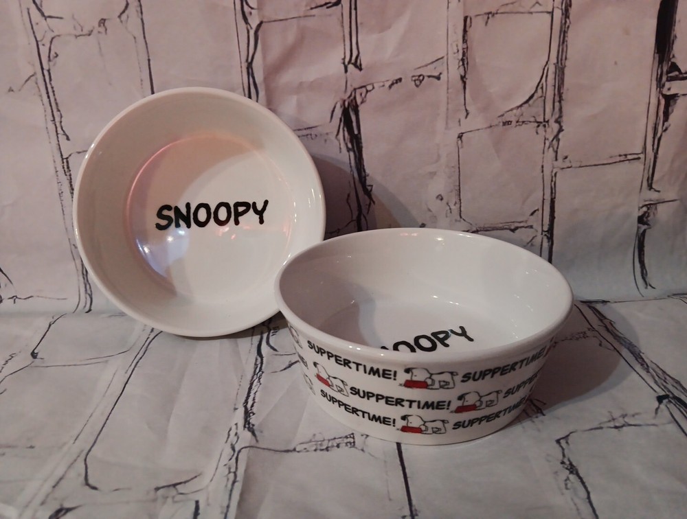 2 Gibson Overseas Inc Peanuts Snoopy Dog Cat Animal Pet Food Water Bowl 5 Inches