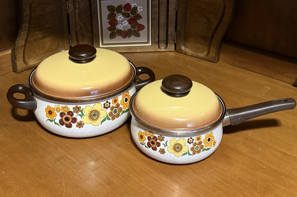 Vintage 70s Harvest Blossom Porcelain Enamel Cookware 2 PC Set Pot Pan Flowers