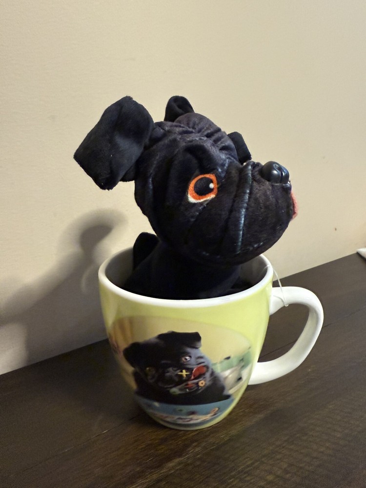 Valentine’s Day Avanti Mug with Plush Puppy “hugs And Kisses”