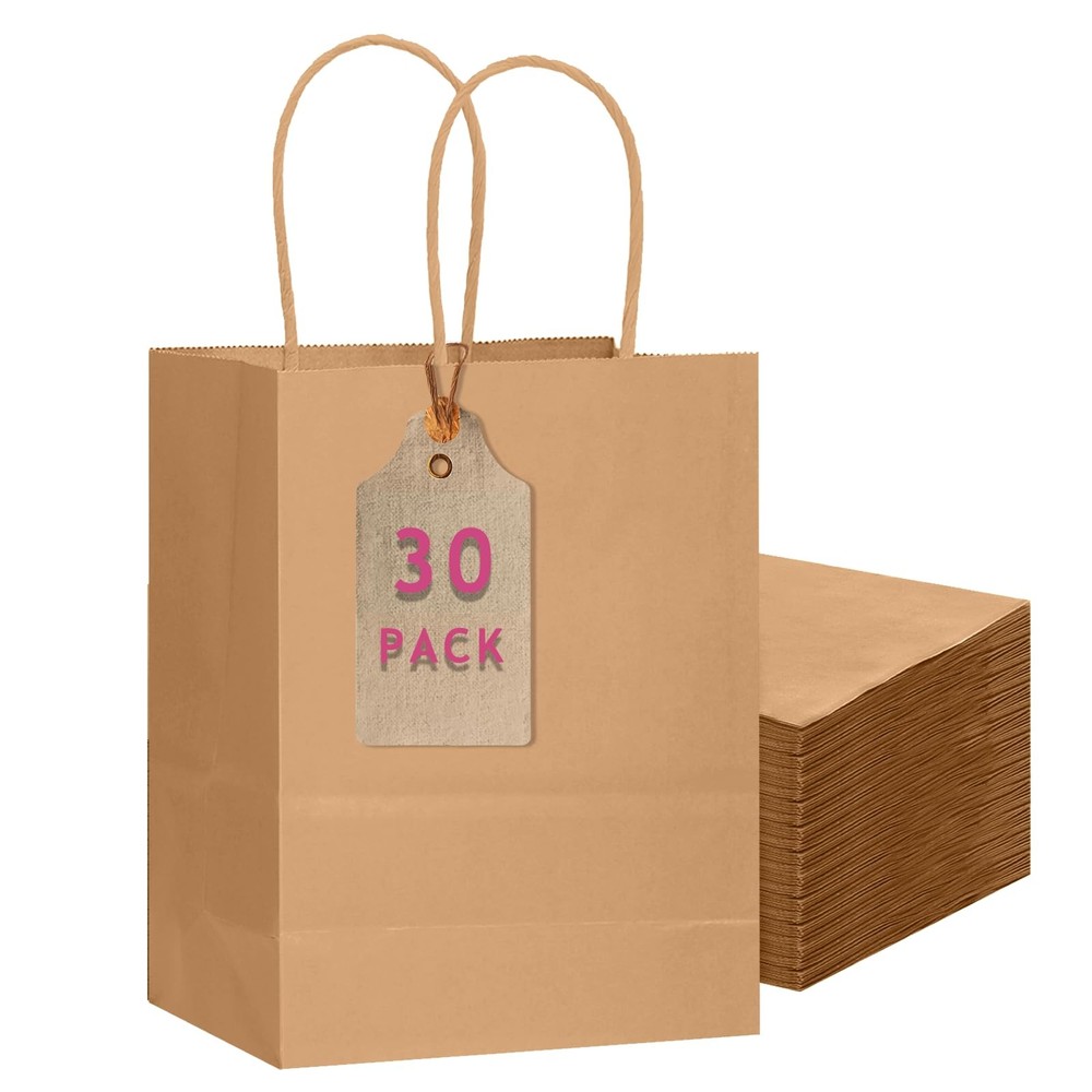 30-Packs Brown Gift Bags with Handles Bulk 10.8