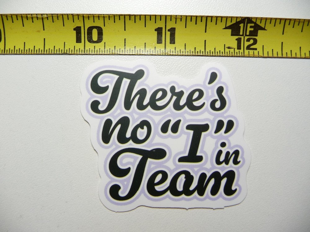 THERE'S NO I IN TEAM STICKER DECAL FUNNY SARCASM SARCASTIC NOVELTY