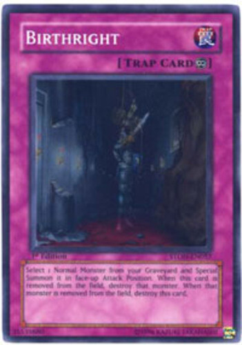 Birthright - STON-EN057 - Super Rare - Unlimited Edition x1 - Lightly Played