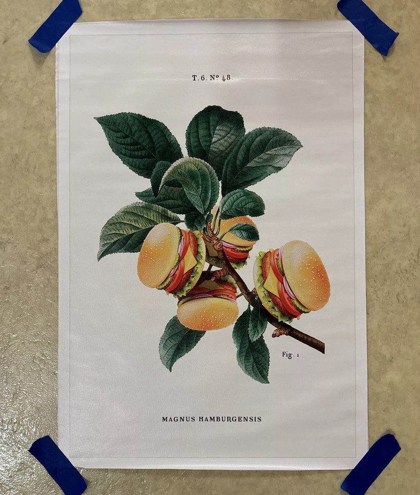 Vintage Style Hamburger Plant Poster ✅ Canvas Wall Art 12x18 ✅ New - Unframed