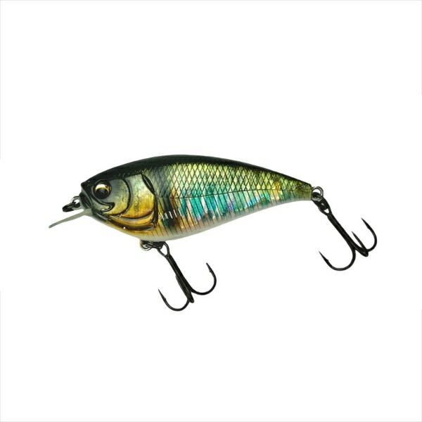 Fishing Lure Imakatsu Bass Lure Gekiasa Flat 3D Realism 717 3DR Laser Oikawa