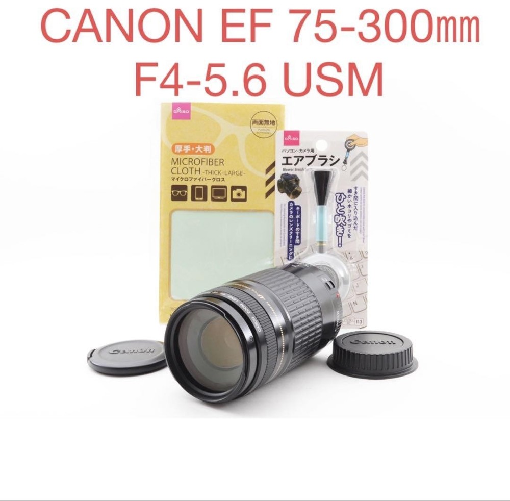 Canon EF 75-300mm f4-5.6 USM Telephoto Zoom Lens for DSLR Cameras with EF Mount