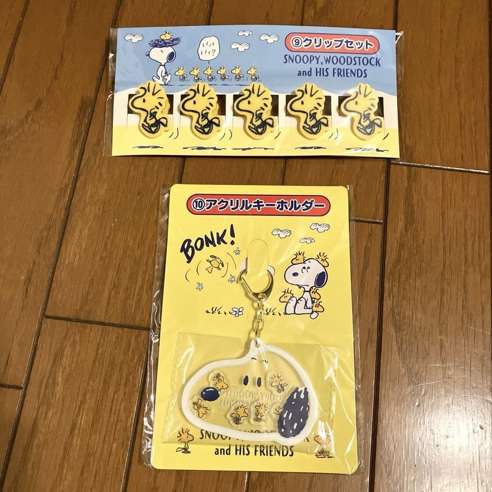 Snoopy and Woodstock Lottery Keychain Set - Acrylic Clip-On Charms