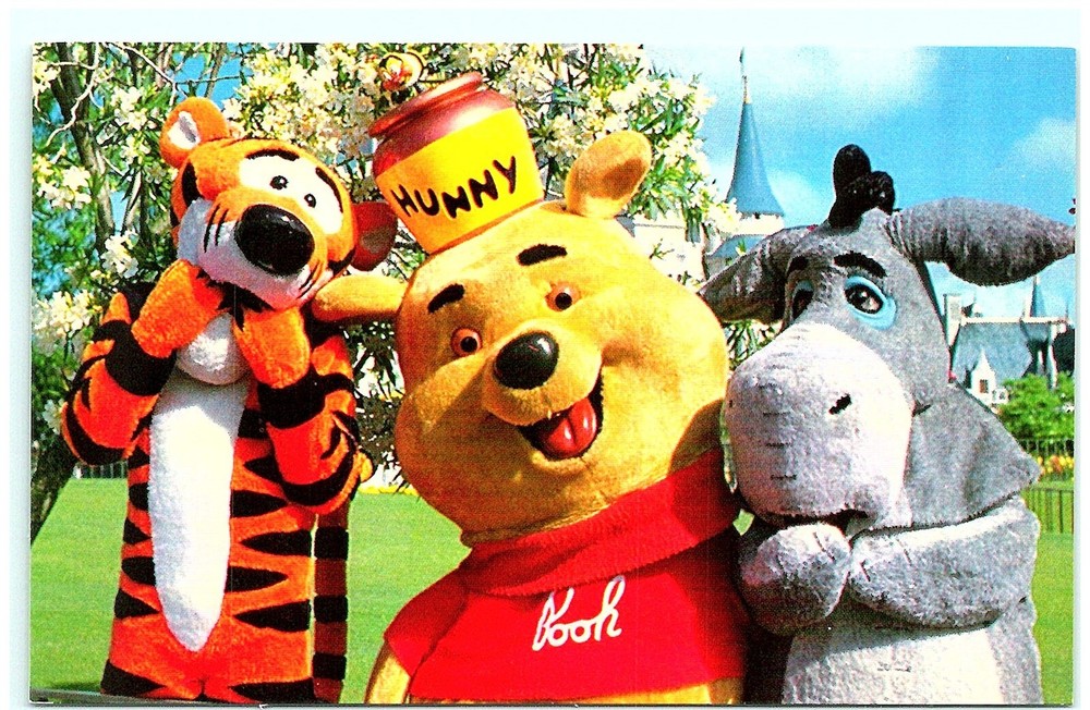S03-5242, YOU'RE POOH-FECTLY WELCOME! DISNEY WORLD, ORLANDO, FL., POSTCARD