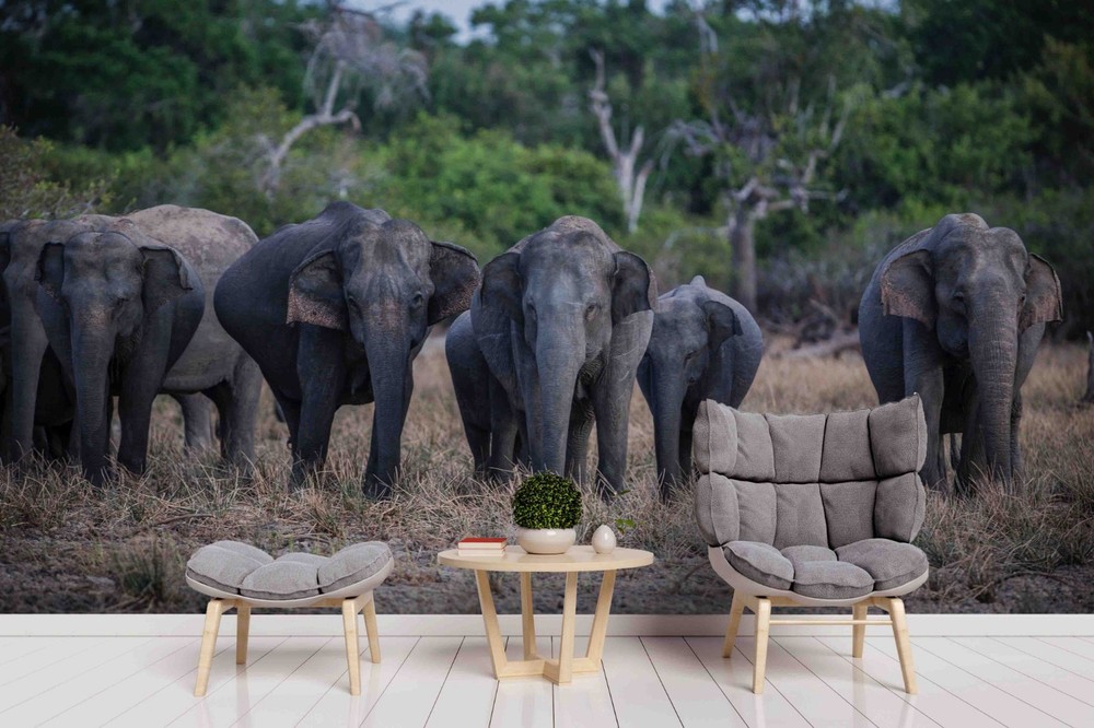 3D Forest Elephant Landscape Wall Murals Wallpaper Murals Wall Sticker