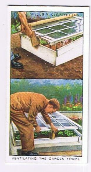 Wills Cigarette Card Garden Hints #11 Ventilating The Garden Frame