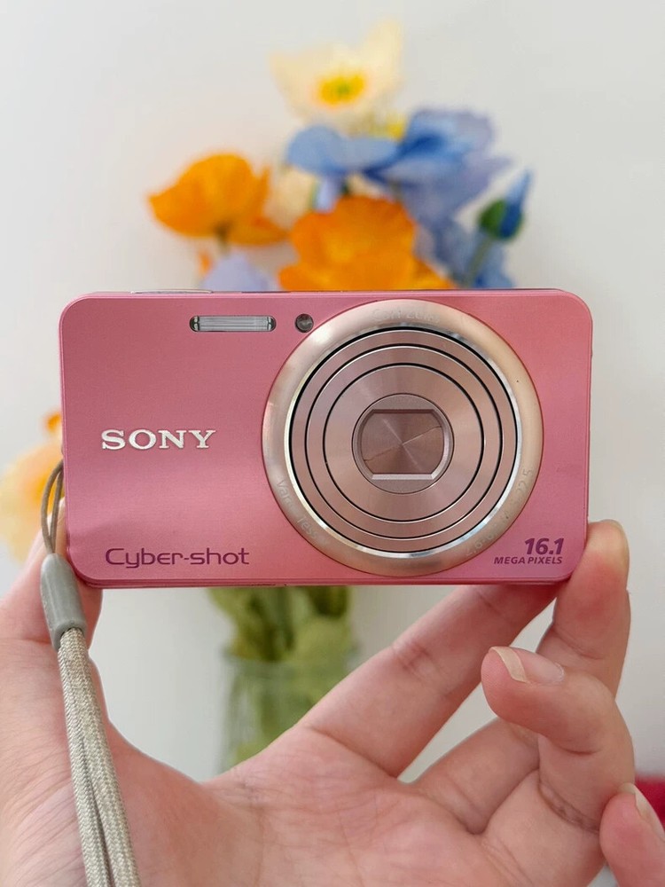 SONY Cyber-shot DSC-W570 16.1 MP Digital Camera 5x Optical Zoom Tested 90%New