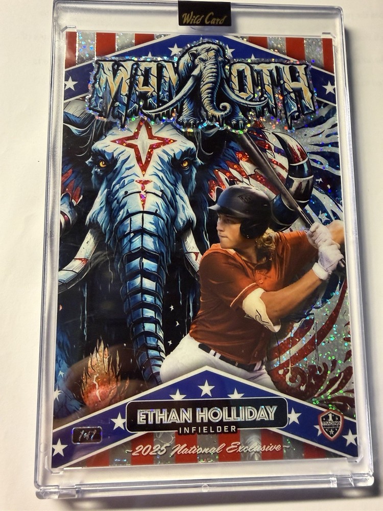 🔥ETHAN HOLLIDAY Mammoth Trading Card 1/1 Wild Card 2025 National Exclusive RC