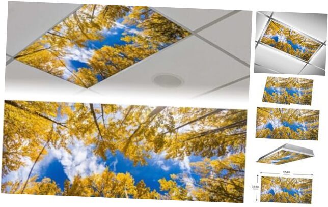 2Pack Fluorescent Light Covers for Classroom, Golden Woods Magnetic Ceiling