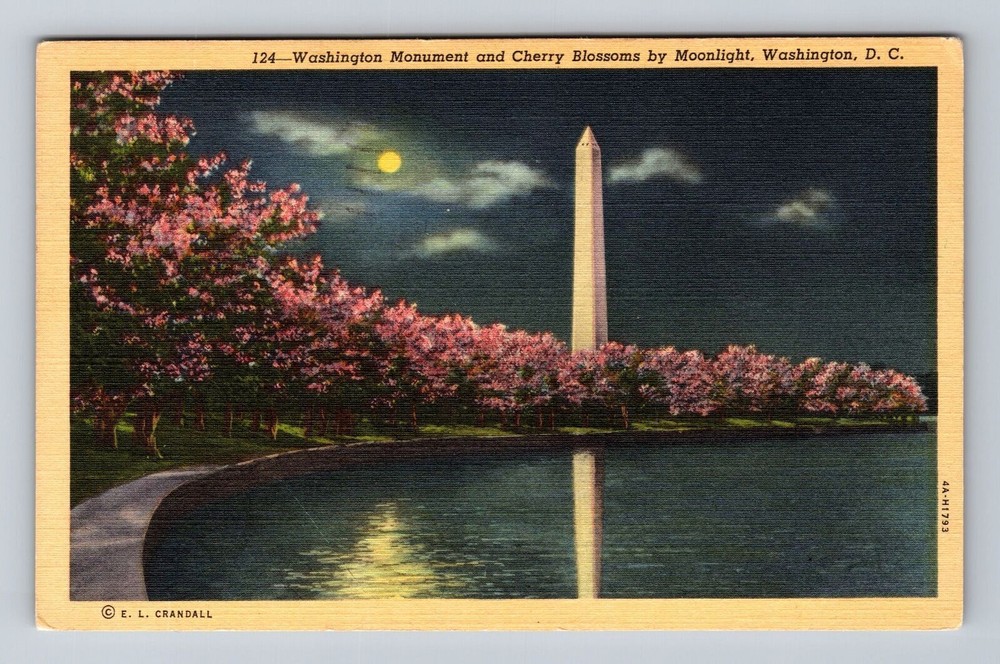 Vintage 1948 DC Cherry Blossoms Washington Monument Postcard