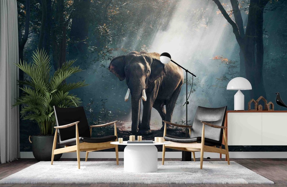 3D Forest Elephant Sunlight Landscape Wall Murals Wallpaper Murals Wall Sticker