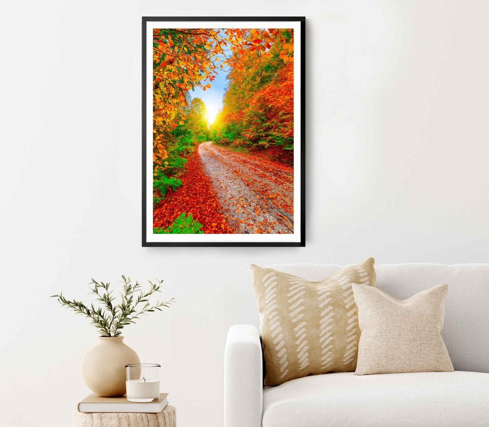 Forest Landscape in Autumn Season Poster Premium Quality Choose your Size